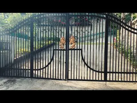 Golden Sunset at UPLB video preview